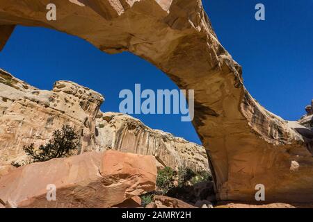 Hickman Bridge Bogen im Capitol Reef National Park in Utah Stockfoto