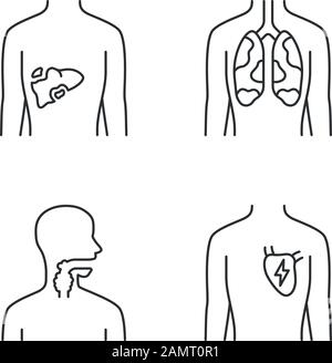 Lineare Symbole für kranke menschliche Organe. Schmerzte Leber und Lunge. Schmerzende Kehle. Ungesundes Herz. Kranke innere Körperteile. Kontursymbole mit dünnen Linien. Isoliert Stock Vektor