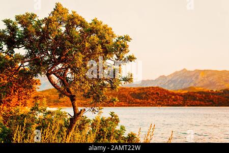 Natur von Portisco Strand im Mittelmeer in Sardinien Italien Reflex Stockfoto