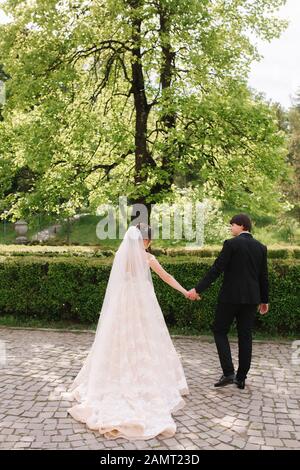 Bräutigam und Braut neben dem großen Baum im Park Stockfoto