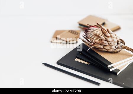 Getrocknete protea-blume, Notizbücher und Bleistift auf einem Schreibtisch Stockfoto