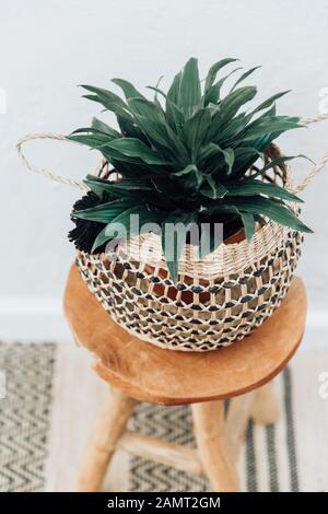 Pflanzen Sie in einem macrame Halter auf einen Holzhocker Stockfoto