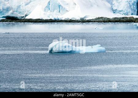 Antarktis - Lamaire Channel. Ein kleiner Adélie-Pinguin auf einem bergigen oder sehr kleinen Eisberg. Der Wind verursacht alle sehr kleinen Wellen in einem anderen Stockfoto