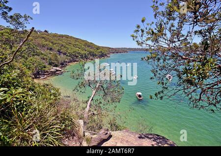 Einer der schönsten Spaziergänge in Sydney Spit Bridge zum Manly Beach Coastal Walk, Sydney, Australien Stockfoto