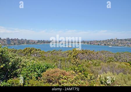 Blick auf Manly Bay und Manly Beach von einem der schönsten Spaziergänge in Sydney Spit Bridge zum Manly Beach Coastal Walk, Sydney, Australien Stockfoto