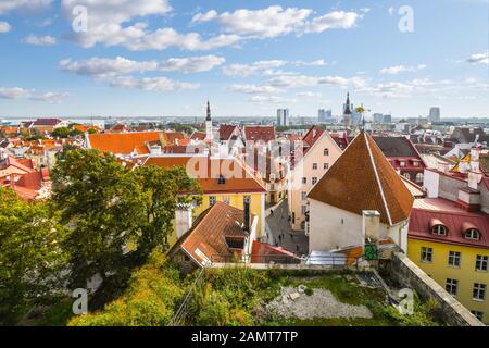 Blick auf die Altstadt der baltischen Stadt Tallinn Estland vom Aussichtspunkt auf den Toompea Hügel. Stockfoto