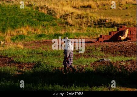 Argentinierin lebt in der Region La Puna in den Anden, Argentinien Stockfoto