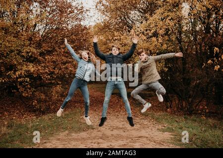Drei Kinder in einem Herbstwald springen in die Luft, Niederlande Stockfoto