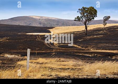 Lexton Australien / Nachwirkungen von Buschbränden in Lexton Victoria Australien. Stockfoto