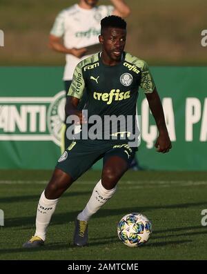 Orlando, Estados Unidos. Januar 2020. Ramires von SE Palmeiras während des Trainings in Orlando, Florida. Kredit: Cesar Greco/FotoArena/Alamy Live News Stockfoto