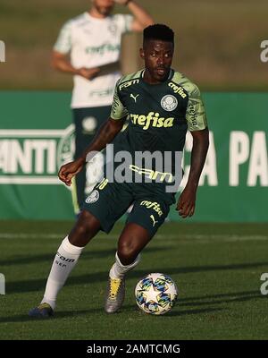 Orlando, Estados Unidos. Januar 2020. Ramires von SE Palmeiras während des Trainings in Orlando, Florida. Kredit: Cesar Greco/FotoArena/Alamy Live News Stockfoto