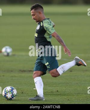 Orlando, Estados Unidos. Januar 2020. Alan Pal von SE Palmeiras während des Trainings in Orlando, Florida. Kredit: Cesar Greco/FotoArena/Alamy Live News Stockfoto