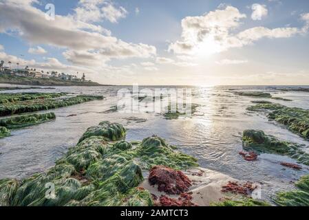 Küstennahe Winterszene. La Jolla, Kalifornien, USA. Stockfoto