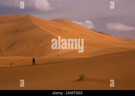Ein Tourist spaziert entlang der wunderschönen Wüstendünen in Merzouga, Marokko Stockfoto