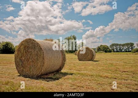 Nahaufnahme von Heuballen auf einem Feld, in Frisia, Niedersachsen, Deutschland Stockfoto