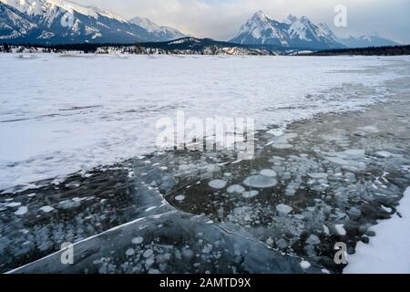 Eingeschlossene Methanblasen, die unter dem dicken gerissenen und gefalteten Eis am Abraham Lake ins Wasser gefroren waren Stockfoto