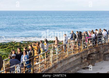Eine Gruppe von Menschen an der Wasserwand am Kinderpool Beach. La Jolla, Kalifornien, USA. Stockfoto