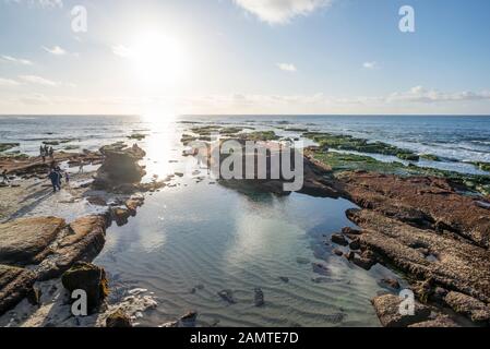 Küstennahe Winterszene. La Jolla, Kalifornien, USA. Stockfoto