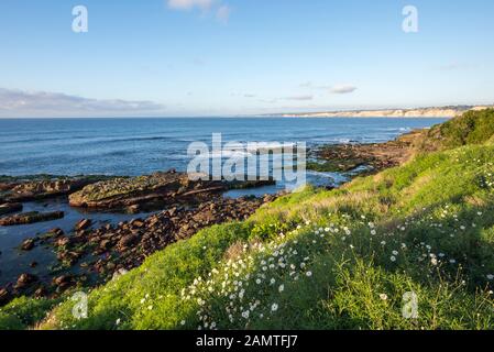 Küstennahe Winterszene. La Jolla, Kalifornien, USA. Stockfoto