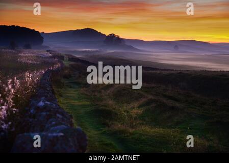 Römisches Wallland - Blick nach Westen von der Nähe von Milecastle 33 auf dem Hadrianswall in Northumberland Stockfoto