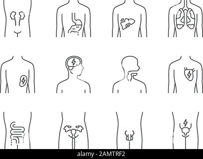 Lineare Symbole für kranke menschliche Organe. Herz und Lunge wund. Schmerzende Kehle und Harnblase. Ungesunde Leber. Kontursymbole mit dünnen Linien. Isoliertes Vecto Stock Vektor