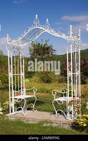 Weißer schmiedeeiserner Metall-Arbour mit Sitzbänken neben Rändern mit roten Echinacea - Kegelblumen und Hosta-Pflanzen im Hinterhof-Landgarten. Stockfoto