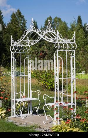 Weißer schmiedeeiserner Metall-Arbour mit Sitzbänken neben Rändern mit roten Echinacea - Kegelblumen und Hosta-Pflanzen im Hinterhof-Landgarten. Stockfoto