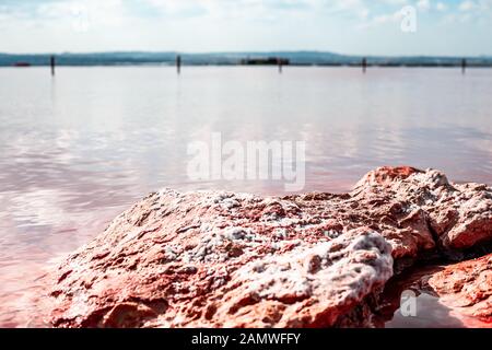Torrevieja Pink Lake, im Naturpark de Las Lagunas de La Mata e Torrevieja, Provinz Alicante, Spanien. Salzforschung und Ergebnisse aus Anwesenheit von Stockfoto