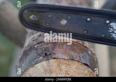 Kettensäge in Aktion Holzschnitt. Man sät Holz mit Säge, Staub und Bewegungen. Kettensäge. Detail einer Säge zum Schneiden von Holz in Bewegung, Detail eines Schnitts. Stockfoto