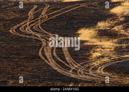 Lexton Australien / Nachwirkungen von Buschbränden in Lexton Victoria Australien. Stockfoto