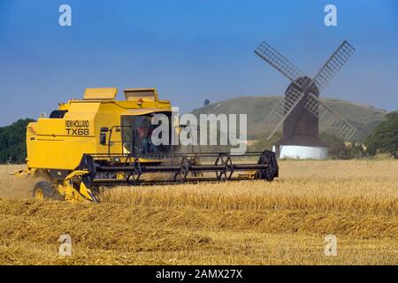 Pitstone Windmühle in den Buckinghamshire chilterns bei Ivinghoe Stockfoto