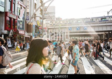 Tokio, Japan. August 2019. Fußgänger am Querswalk vor dem Bahnhof Ueno in Tokio. (Foto: Goznales Foto - Georg Wallner). Stockfoto