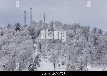 Nadelwald in die Berge mit Schnee bedeckt und mit Wolken Stockfoto