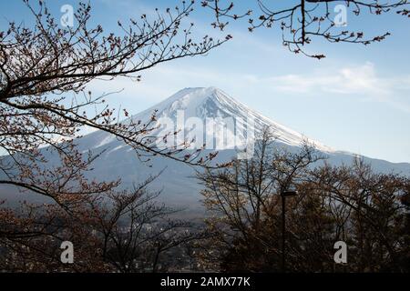 Mt. Fuji von Cherry Blossom Bäume im Frühjahr blühen und angehende Bühne eingerahmt. Foto auf der Treppe, die zu Chureito Pagode genommen Stockfoto