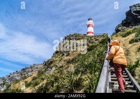 Frauen, die die Holztreppe zum Cape Palliser Lighthouse, 1897, Wairarapa, North Island, Neuseeland klettern Stockfoto