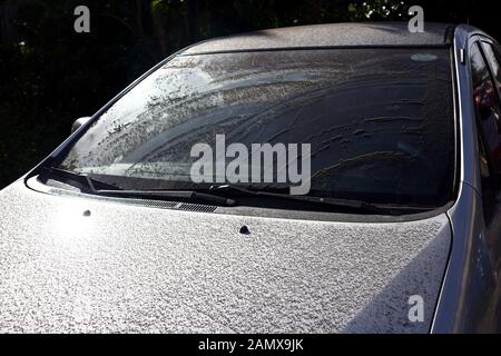 Antipolo City, Philippinen - 13. Januar 2020: Vulkanische Asche aus dem Taal-Vulkanausbruch erreicht Hunderte von Kilometern entfernt Städte. Stockfoto