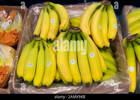 Lose Bananen in einem britischen Supermarkt zum Verkauf. Stockfoto