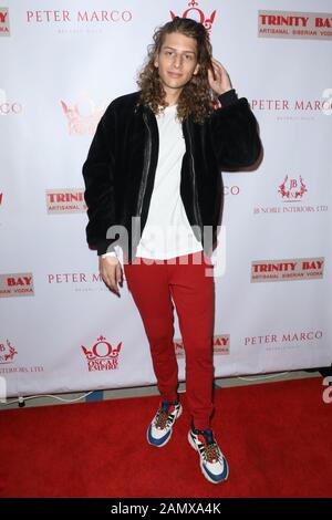 Hot 100 Holiday Party in der Edwards-Lowell Art Gallery in Beverly Hills, Kalifornien am 14. Dezember 2019 Mit: Hari Tahov Where: Beverly Hills, Kalifornien, Vereinigte Staaten Wann: 15. Dezember 2019 Credit: Sheri Determan/WENN.com Stockfoto