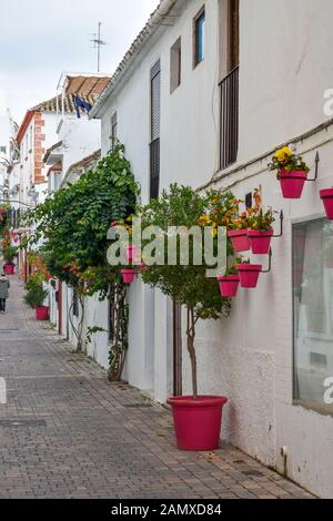 Weiß getünchte Altstadt und blühende Straße in der spanischen Stadt Estepona, Costa del Sol, Spanien Stockfoto