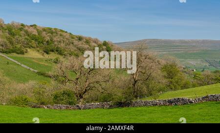 Yorkshire Dales Landschaft in der Nähe von Yockenthwaite, North Yorkshire, England, Großbritannien Stockfoto