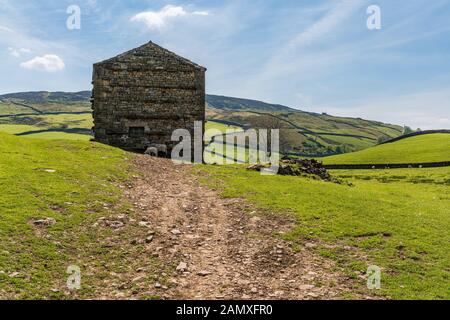 Ein Feld Scheune in der Nähe von Keld Swaledale, North Yorkshire, England, Großbritannien Stockfoto