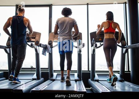 Junge Menschen, die auf einem Laufband im modernen Fitnessraum Stockfoto