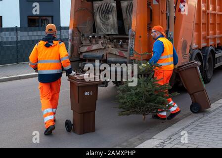 Magdeburg, Deutschland. Januar 2020. Ronny Scheer (36) und Robert Küffen (26) - von links nach rechts -, Mitarbeiter des Fallwirtschaftsbetriebs Magdeburg, ziehen Biobehälter und einen Weihnachtsbaum zu ihrem Entsorgungsfahrzeug. In der Landeshauptstadt werden Weihnachtsbäume nach dem fest kostenlos mit dem Bio-Abfallbehälter entsorgt. Voraussetzung: Die Anwohner müssen die Bäume direkt neben den Biolabfallbehälter stellen und dürfen laut Entsorgungsfirma nicht größer als zwei Meter sein. Credit: Dpa Picture Alliance / Alamy Live News Stockfoto