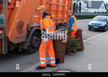 Magdeburg, Deutschland. Januar 2020. Ronny Scheer (36) und Robert Küffen (26) - von links nach rechts -, Mitarbeiter des Fallwirtschaftsbetriebs Magdeburg, ziehen Biobehälter und einen Weihnachtsbaum an ihr Fahrzeug. In der Landeshauptstadt werden Weihnachtsbäume nach dem fest kostenlos mit dem Bio-Abfallbehälter entsorgt. Voraussetzung: Die Anwohner müssen die Bäume direkt neben den Biolabfallbehälter stellen und dürfen laut Entsorgungsfirma nicht größer als zwei Meter sein. Credit: Dpa Picture Alliance / Alamy Live News Stockfoto