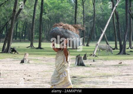 Bodos tribal Alte ältere Frau schweren Bündel Holz auf den Kopf zu Fuß auf die Straße tragen. Haushalt Aufgaben Verantwortung. Sammeln von Brennholz ist Stockfoto