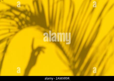 Ttropical Blätter Schatten mit Hand auf gelbem Hintergrund Stockfoto