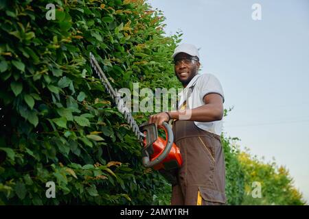 Muskulösen jungen afrikanischen Mann mit braunen und weißen Hut, professionell schneiden Seite der Zaun von Büschen mit heckenschere. Erfahrene Gärtner mit modernen Geräten im Freien. Stockfoto