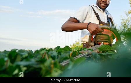 Nahaufnahme der afrikanische Mann Gärtner Hände halten Garten Trimmer und Schneiden von kleinen zugewachsenen Blätter auf grüne Büsche. Arbeitnehmer tragen besonderer insgesamt und Schutzbrille im Freien. Stockfoto