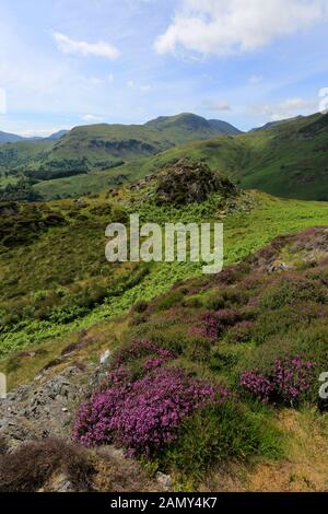 Summit Cairn on Glenridding Dodd Fell, Glenridding, Lake District National Park, Cumbria, England, UK Glenridding Dodd Fell ist einer der 214 Wainwrig Stockfoto