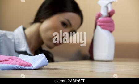 Die perfekte Hausfrau sorgt dafür, dass die Hausmöbel vollständig von Flecken entfernt sind Stockfoto